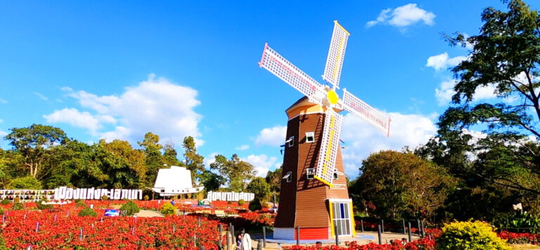 ลานทุ่งคริสต์มาส ภูเรือ