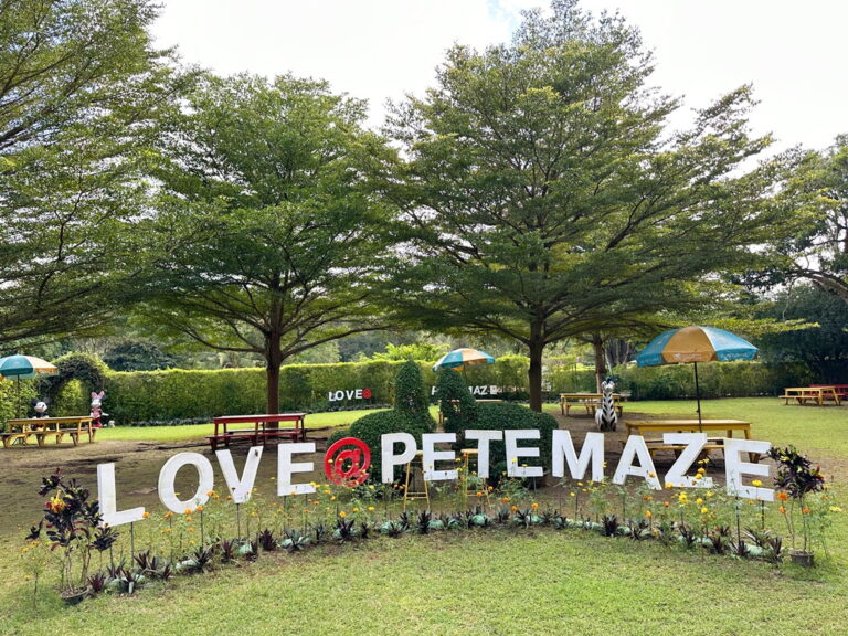 Petemaze พิชญ์เขาวงกต
