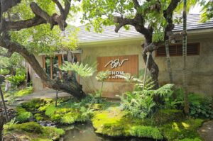 ร้านชม คาเฟ่ เชียงใหม่ ป่าหิมพานต์ใจกลางเมือง